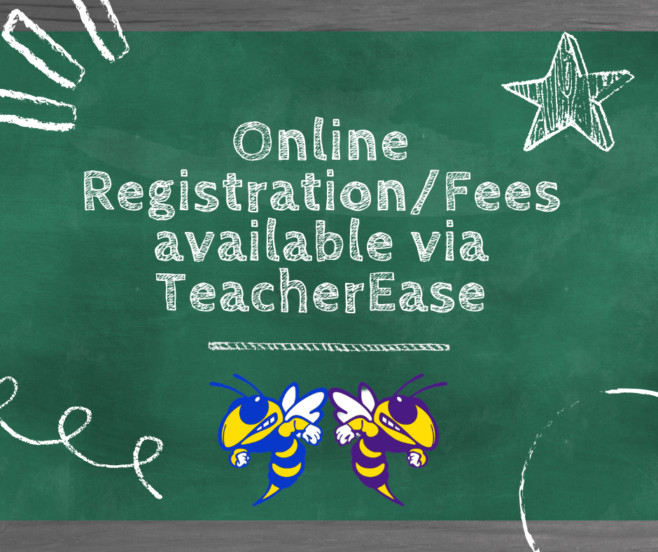 Graphic with a green chalkboard background displaying the text: “Online Registration/Fees available via TeacherEase” in white chalk-style lettering. White chalk doodles decorate the corners, and two hornet mascots—one blue and gold and one purple and gold—appear at the bottom center.