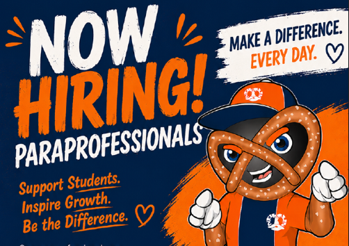 Paraprofessional Post