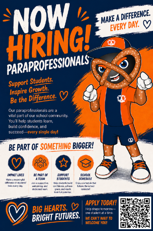 Paraprofessional Post