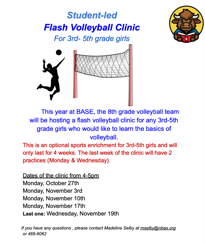Flash Volleyball Clinic Information