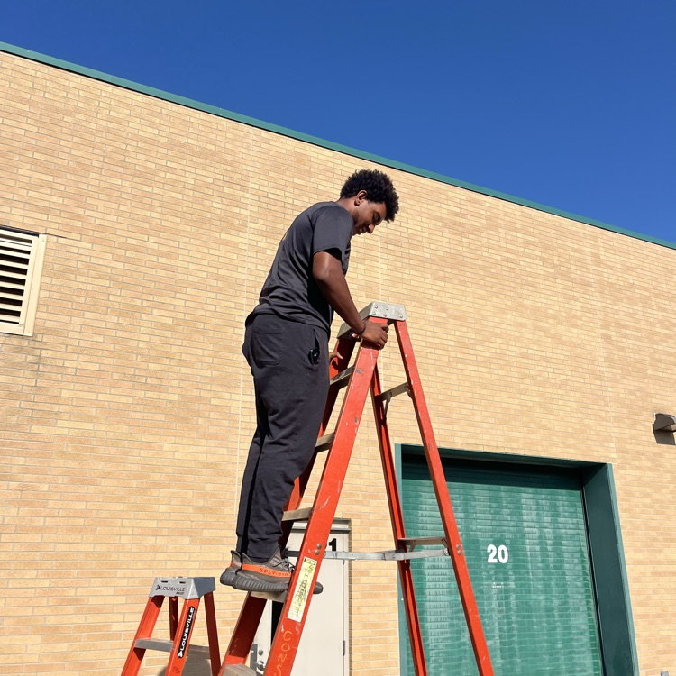ladder