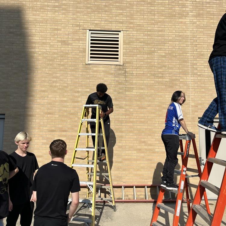 ladder