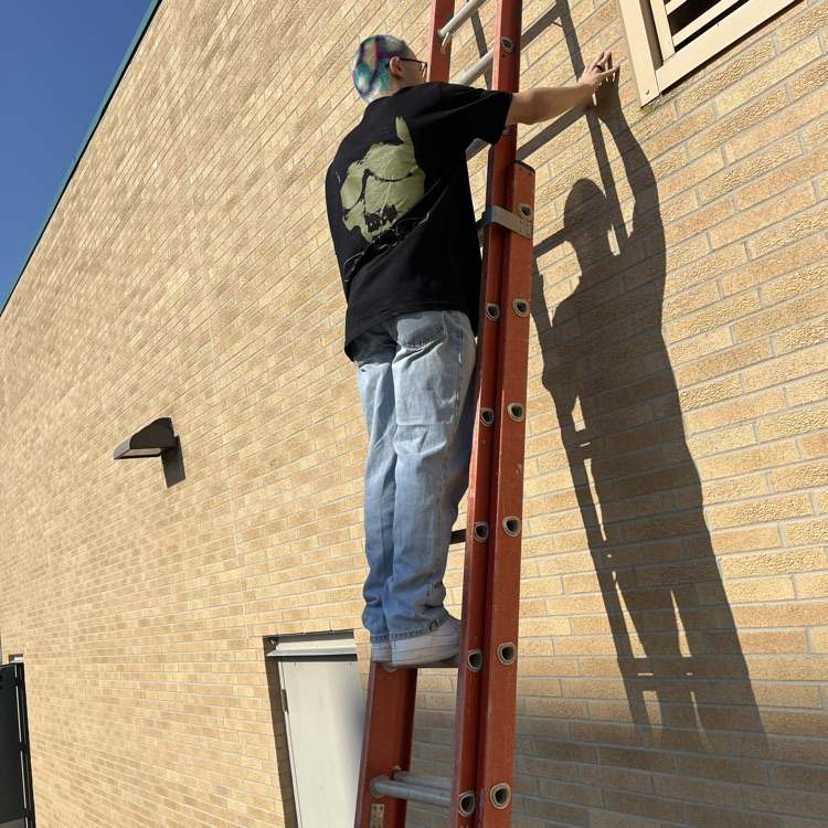 ladder