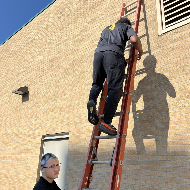 ladder