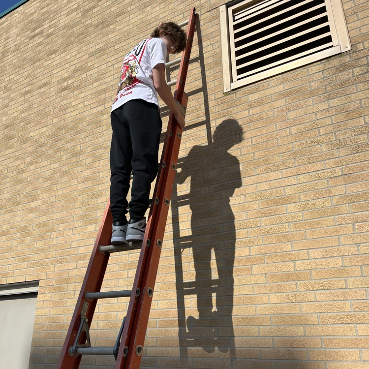 ladders