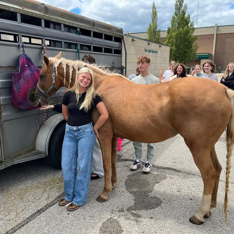 Sophie Sutton Horse Care Demonstration Speech