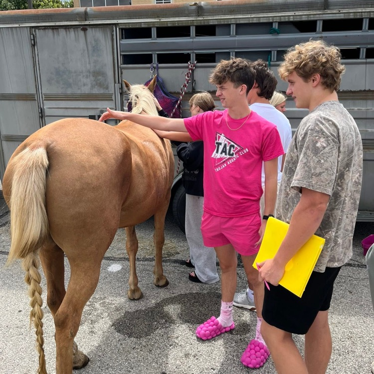 Sophie Sutton Horse Care Demonstration Speech