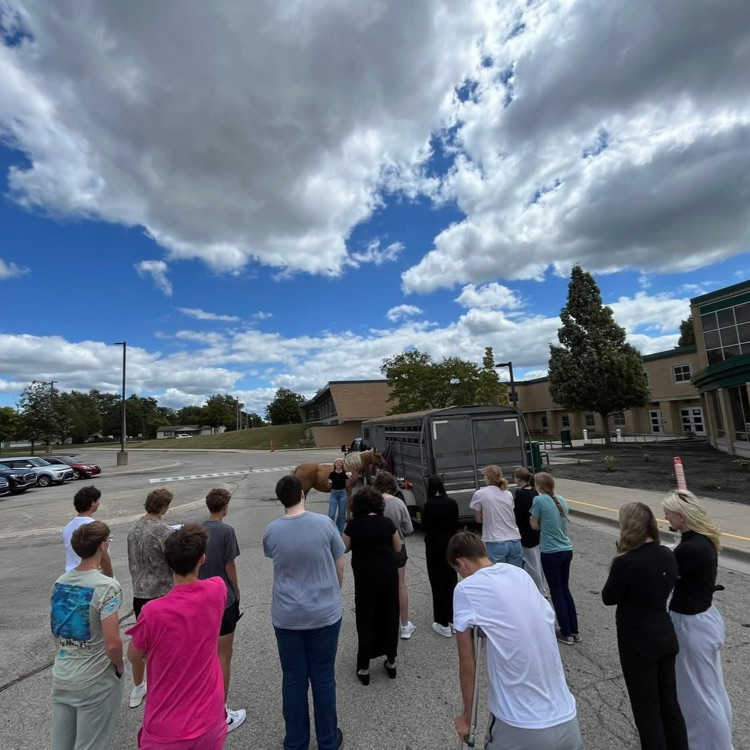 Sophie Sutton Horse Care Demonstration Speech