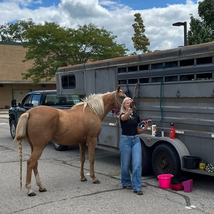 Sophie Sutton Horse Care Demonstration Speech