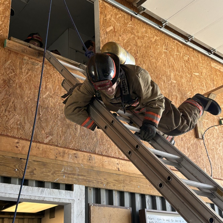 Save Your Own Training 