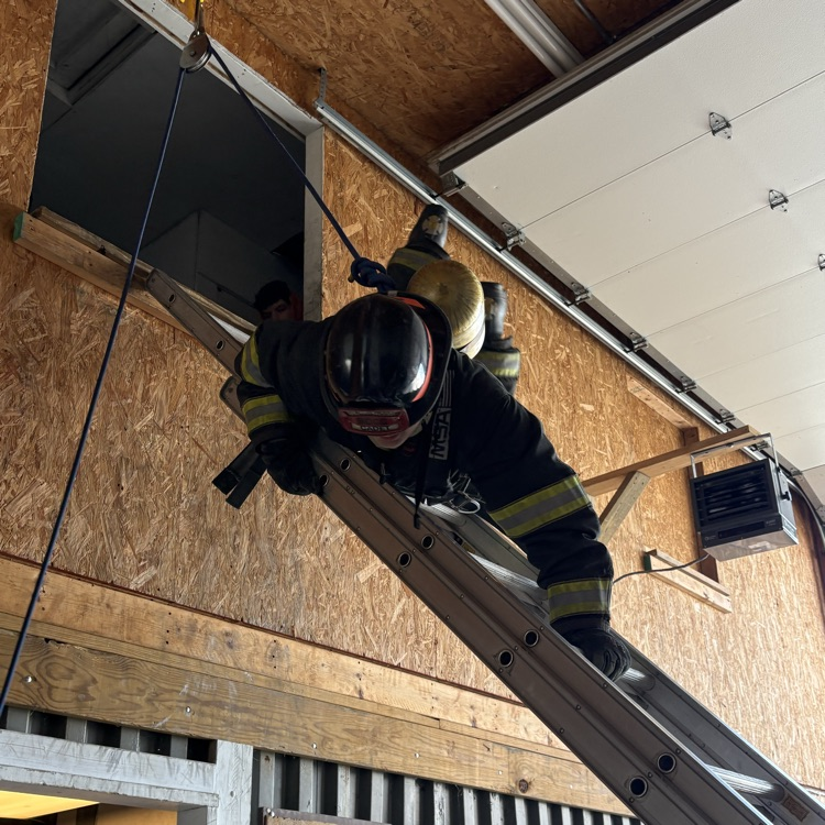 Save Your Own Training 