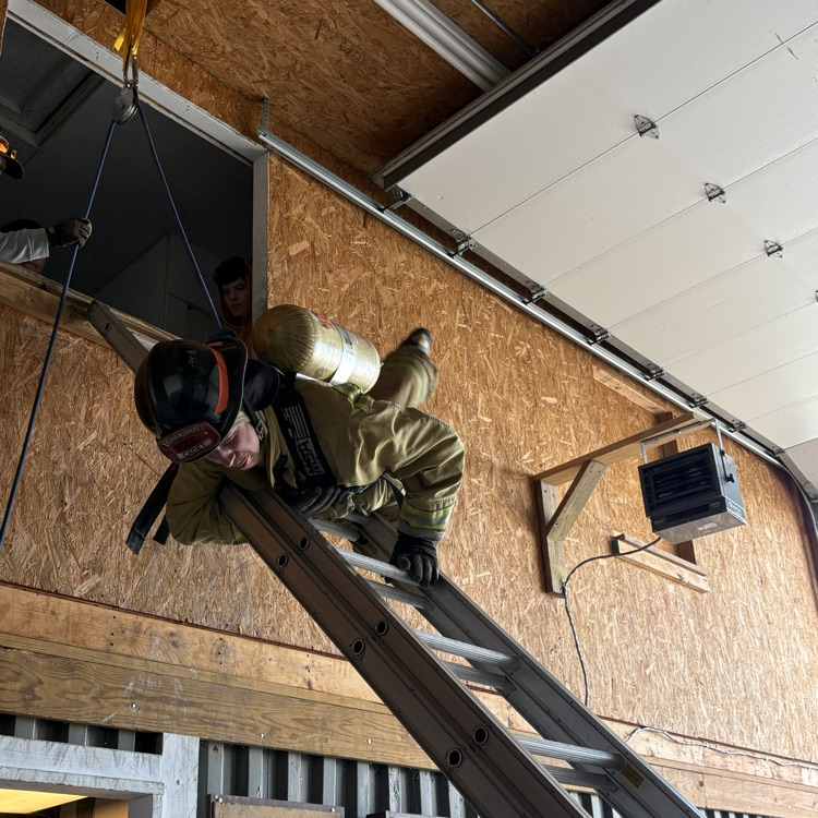 Save Your Own Training 