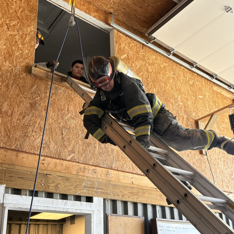 Save Your Own Training 