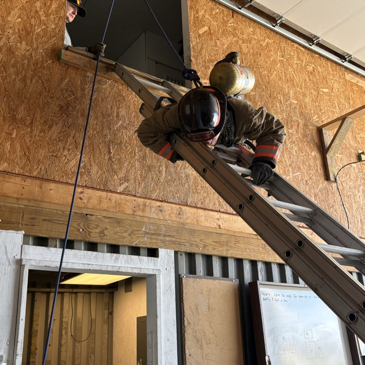 Save Your Own Training 