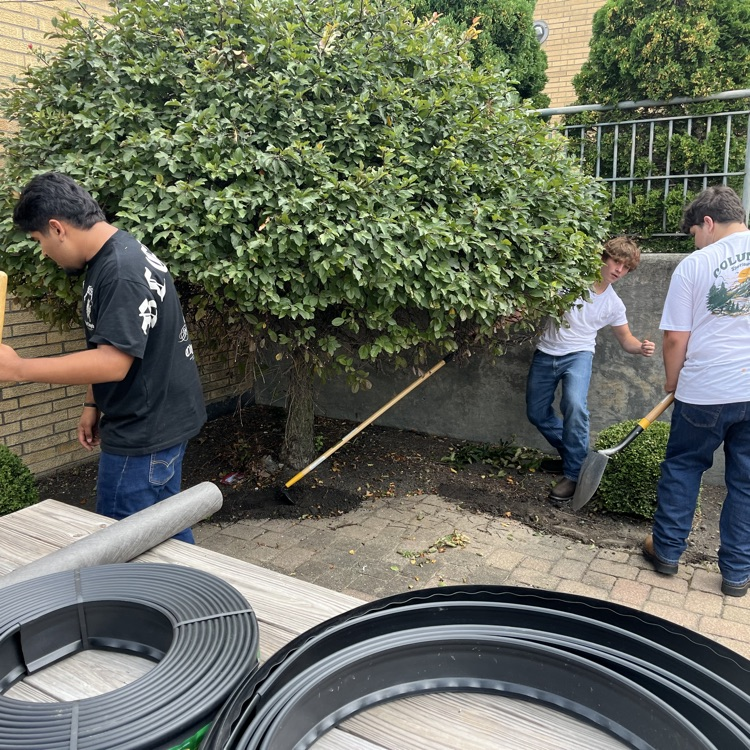 Landscaping 