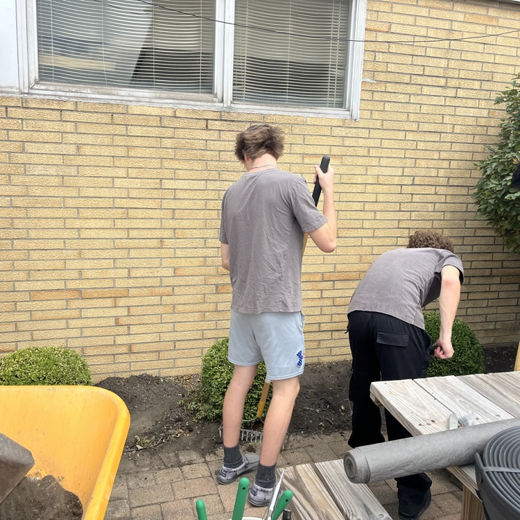 Landscaping 