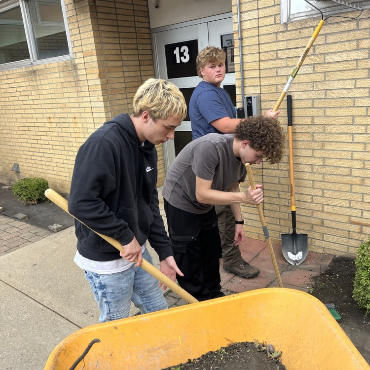 Landscaping 