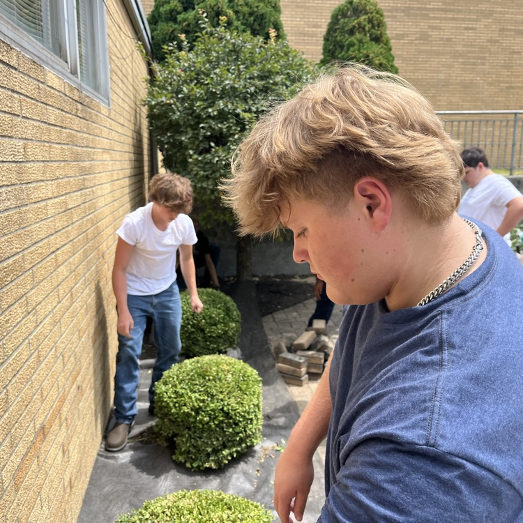 Landscaping