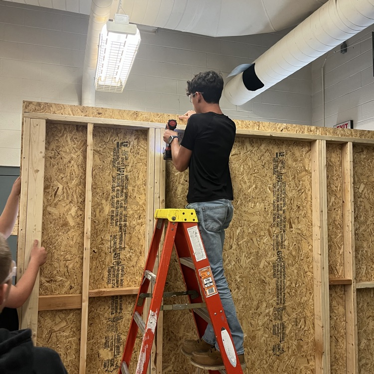 Shed work