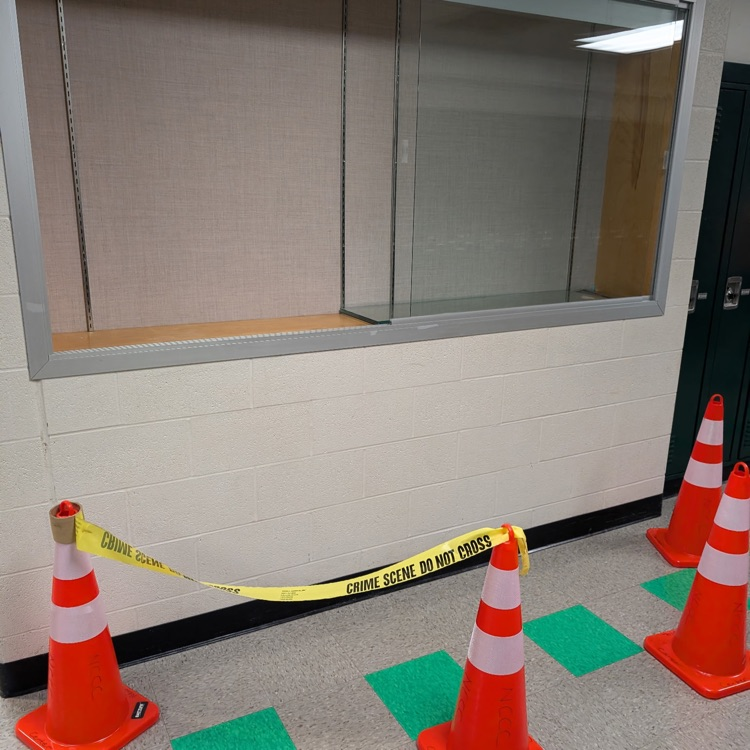 Crime Scene Investigators at Work