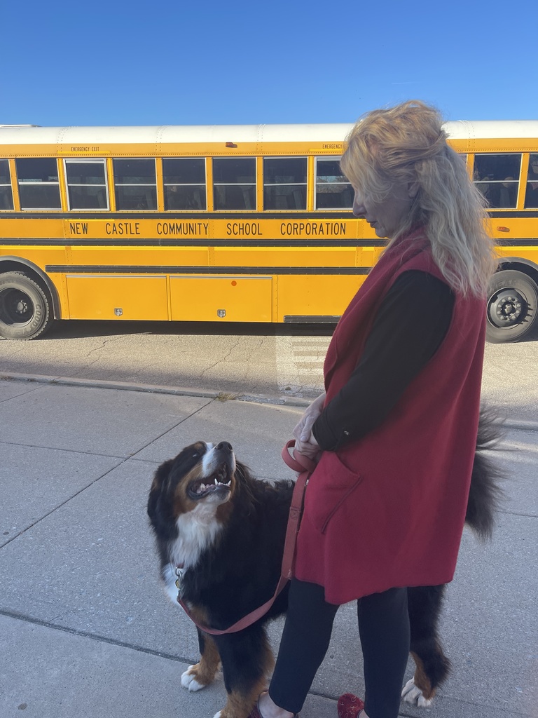 Ode (Therapy Dog) tried to ride a bus