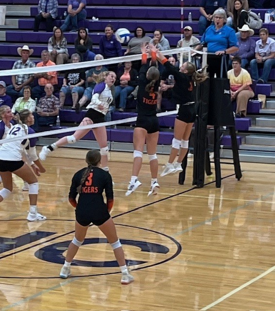 VB