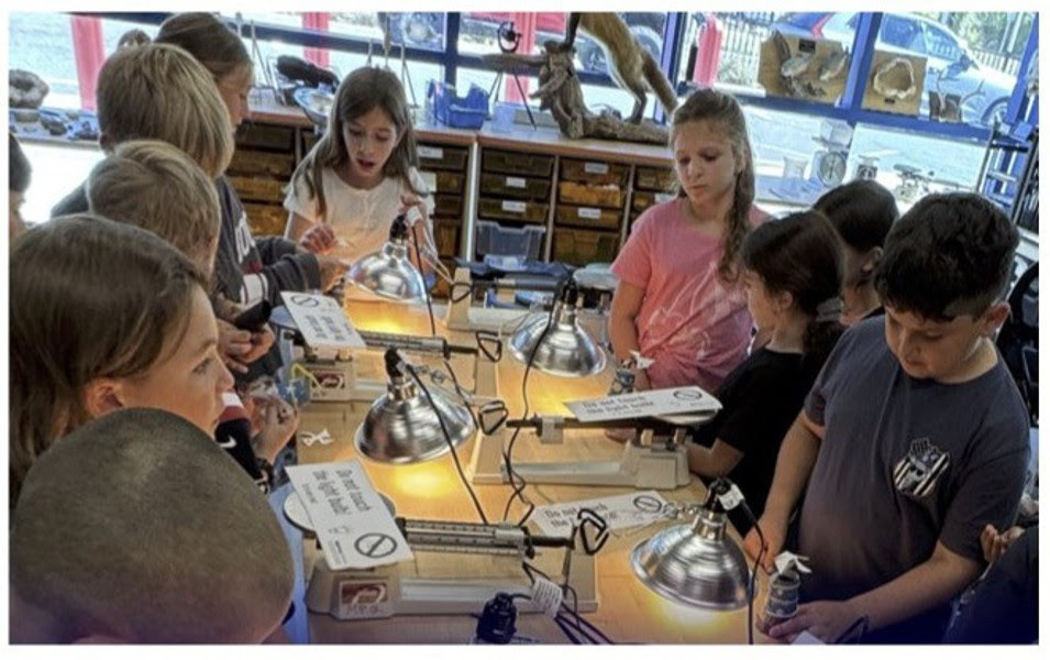 Curriculum for New School Year 