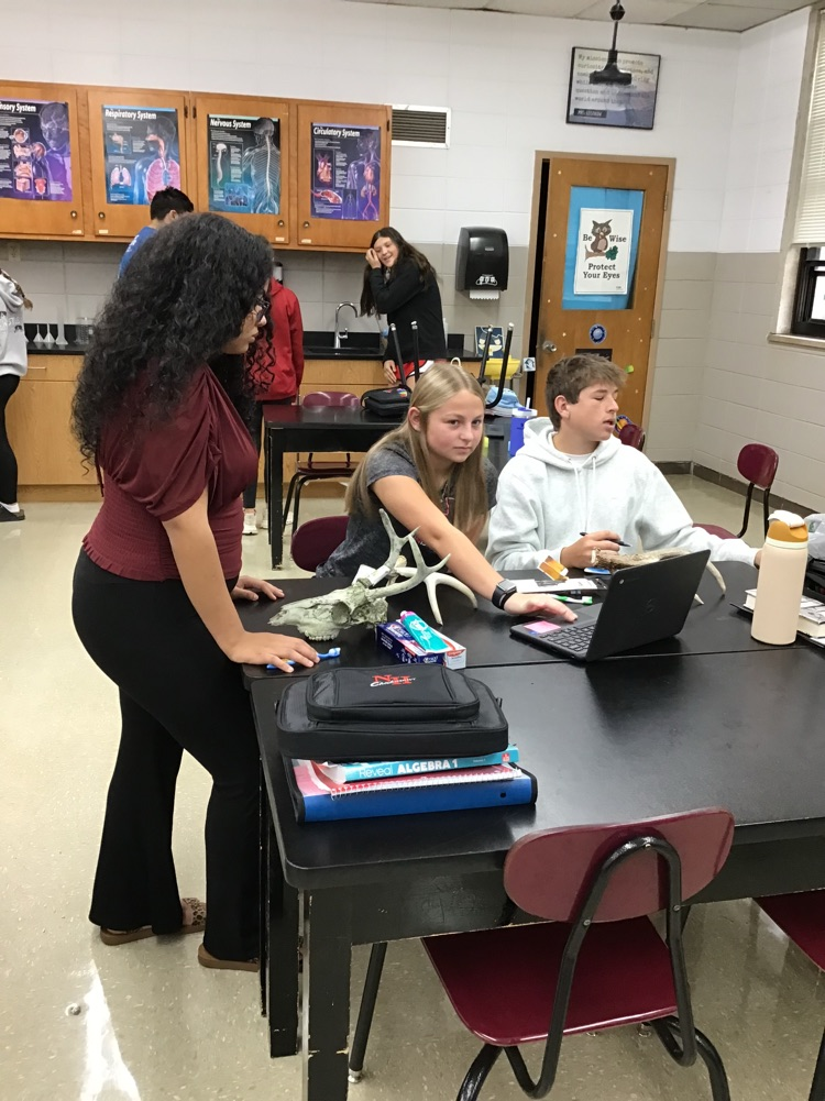 Physical Science students start off the year with a review of experimental design during their Consumer Product Testing PBL.