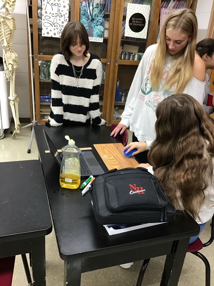 Physical Science students start off the year with a review of experimental design during their Consumer Product Testing PBL.