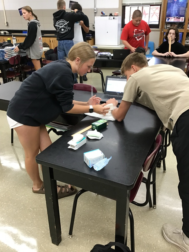 Physical Science students start off the year with a review of experimental design during their Consumer Product Testing PBL.
