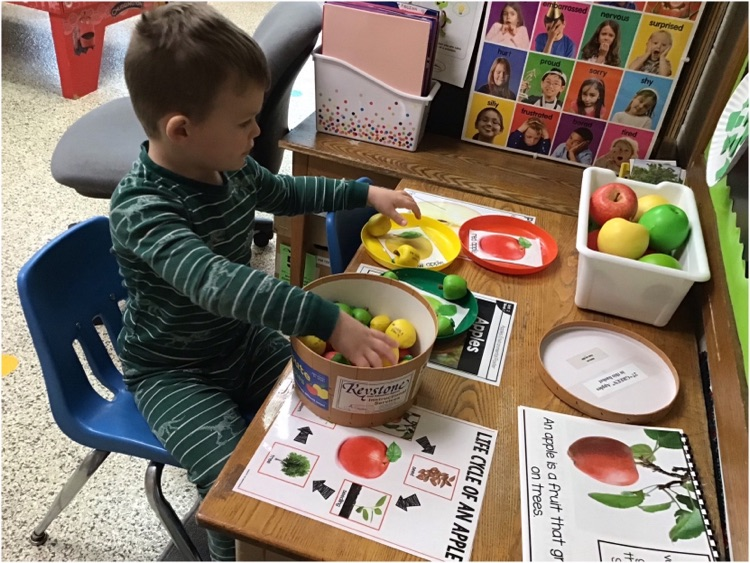 Our three year old preschool class had a great time exploring apples