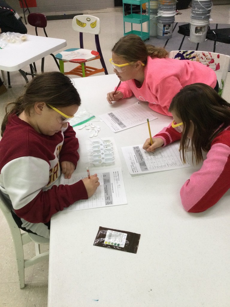 The 5th graders are busy working on labs these days. Students are determining which foods test positive for glucose using glucose test strips. 