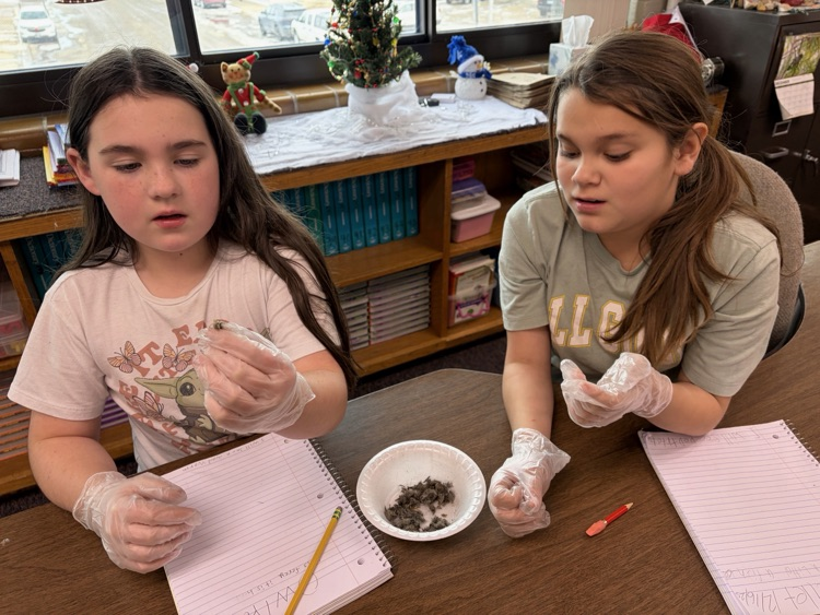 The Third Graders and their families made tie blankets for Project Linus.