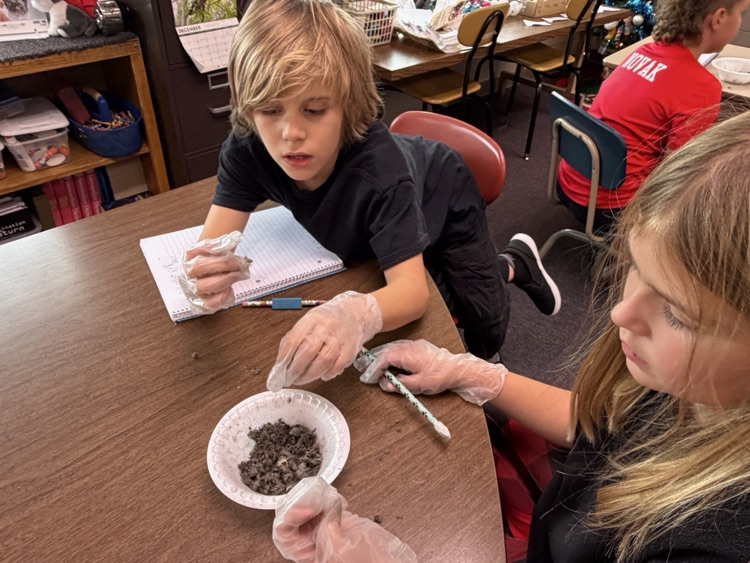 Yes The Third Graders and their families made tie blankets for Project Linus.