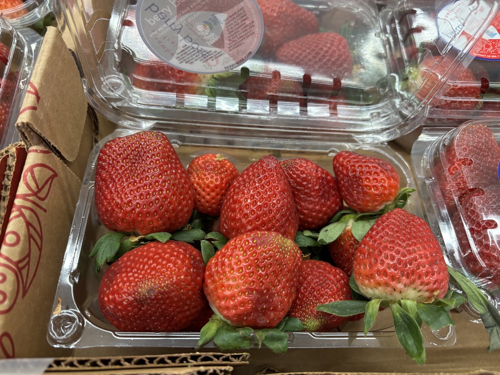 It is STRAWBERRY TIME! Fresh strawberries from Florida Fruit.  I am going to order extra and then pick through everyone's orders to replace any that are not perfect. These really are the most amazing strawberries! We will also have more options for sizes to buy.   One quart- $5.00 Two quarts - $10.00 Four quarts (half a flat) - $20.00 8 quarts (full flat) - $35.00  How to order: email Mrs. Schmitt at: a_schmitt@new-hampton.k12.ia.us or order from a FCS student.   All Sales Due: Tuesday, February 10th Delivery Date: Week of February 23rd TBA Payment: Exact Cash or please make checks payable to New Hampton FCCLA