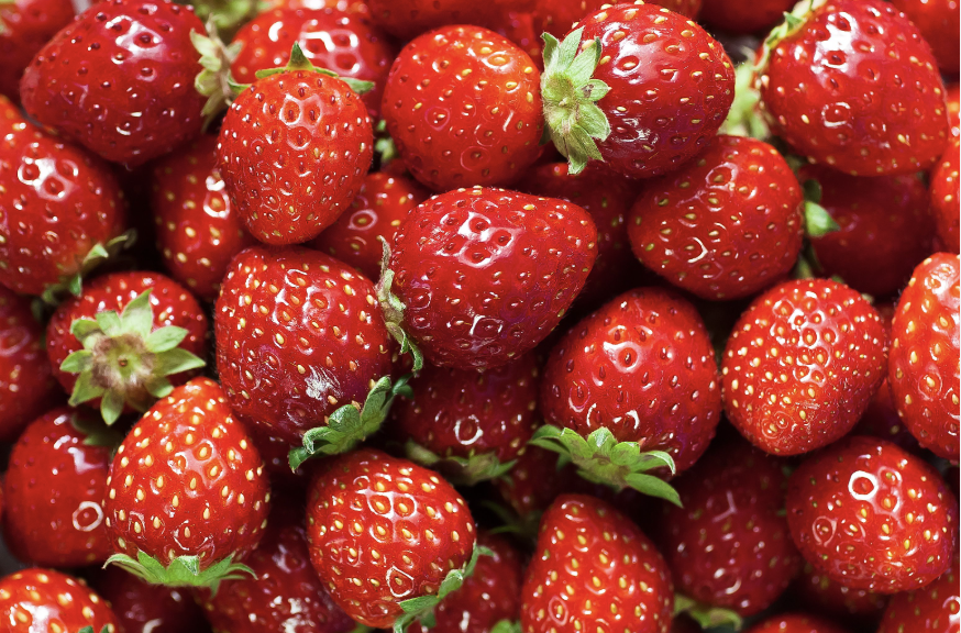 Yum! Fresh Strawberries!  Tuesday, February 24th 3:30 - 5:30 p.m. STRAWBERRY PICK UP IN THE FCS ROOM. (If you need latter than 5:30 - you need to email Mrs. Schmitt at:  a_schmitt@new-hampton.k12.ia.us  Mrs. Schmitt ordered extra flats, so if you would still like some, please let me know and I will put your name on them. If you have not paid yet, please bring a check or exact cash. Thank you for supporting our students! 