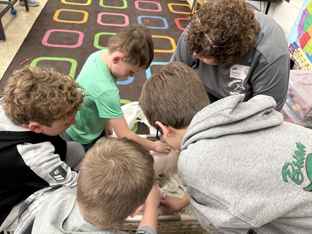 The fourth-grade classes were visited by Joanne Tupper, our Ag. Partner in Education. She provided information about their pork operation and described how math is used on a daily basis. They learned about the different types of meat that we can get from pigs. She also brought two piglets for the students to pet.