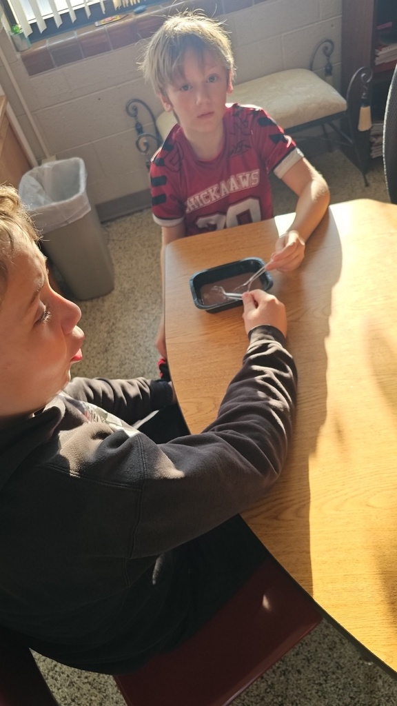 Ms. Junk's 4th Grade students had the opportunity to try the Hawaiian staple, Poi. The students read and studied vocabulary, as well as the process of making Poi in the book, 'Ohana Means Family by Ilima Loomis.