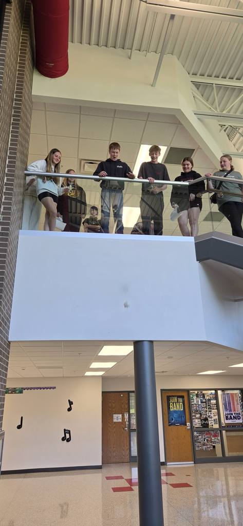 Given a "budget" , limited resources, and a little science, Physical Science students were challenged to design a protective device for an egg to be dropped from the NHMS foyer.