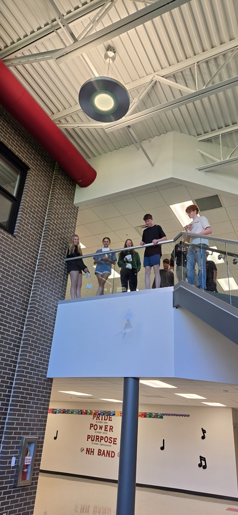 Given a "budget" , limited resources, and a little science, Physical Science students were challenged to design a protective device for an egg to be dropped from the NHMS foyer.
