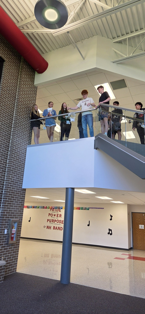 Given a "budget" , limited resources, and a little science, Physical Science students were challenged to design a protective device for an egg to be dropped from the NHMS foyer.