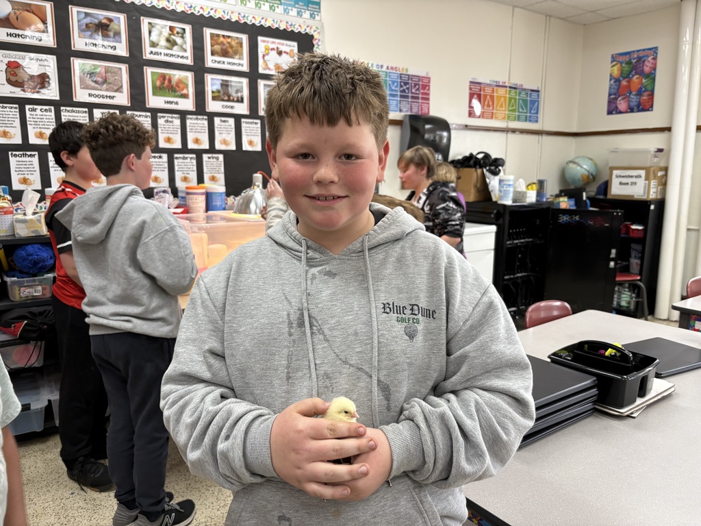 The baby chicks hatched last week, and the fourth-graders were thrilled to hold and gently pet them. It was an exciting, hands-on experience that sparked lots of curiosity and excitement in their classroom! This experience also connected perfectly to our learning as the fourth grade class has been studying the structures and adaptations of living things. Observing the chicks up close helped students better understand how physical features support survival and growth.