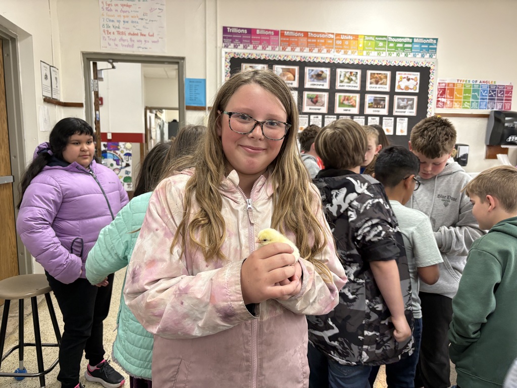 The baby chicks hatched last week, and the fourth-graders were thrilled to hold and gently pet them. It was an exciting, hands-on experience that sparked lots of curiosity and excitement in their classroom! This experience also connected perfectly to our learning as the fourth grade class has been studying the structures and adaptations of living things. Observing the chicks up close helped students better understand how physical features support survival and growth.
