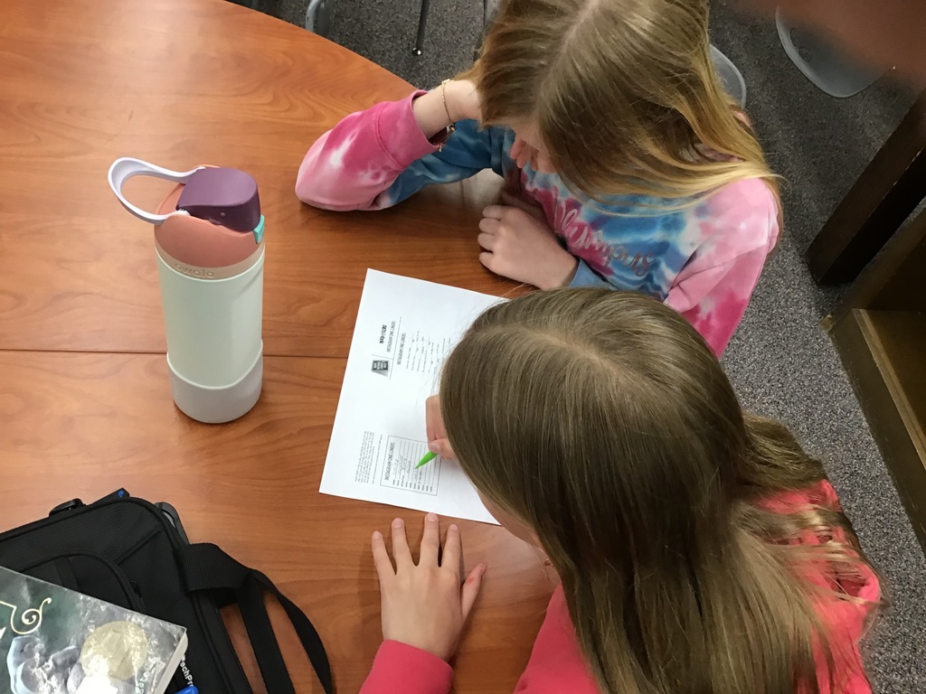 5th grade library intervention practicing parts of speech by playing library themed Mad Libs