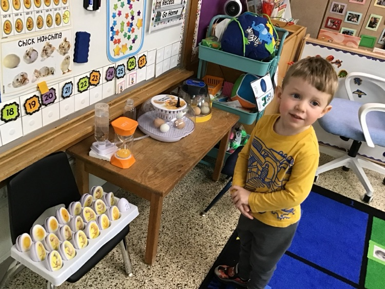 Our 3-year-old preschool classes enjoyed hatching chicks in our classrooms.