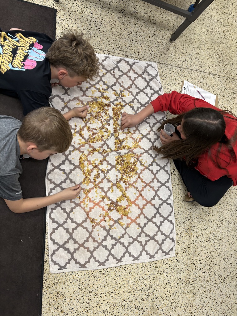 Fourth graders in Ms. Schwickerath's science classes explored how different bird beaks are specially designed to help birds eat various types of food. After learning about these adaptations, students participated in a hands-on activity where they tested different “beaks” to see which ones were most effective for picking up certain foods. This engaging experience helped them better understand how form relates to function in the natural world.