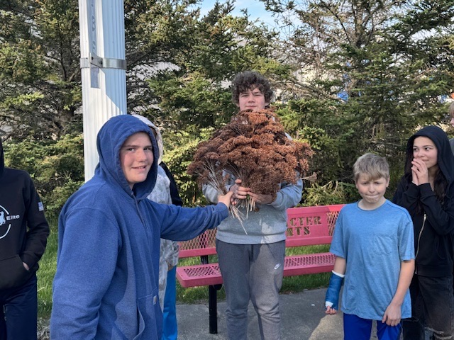 community service