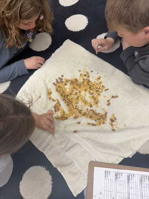 4th Grade students in Mrs. Conary's class have been learning about everything “Living Things”.