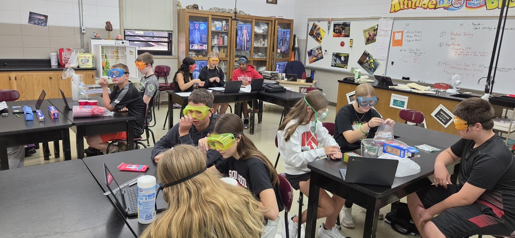 Physical Science students work on their Comparing Brand X PBL to review the scientific method, experimental parts, and technical writing.