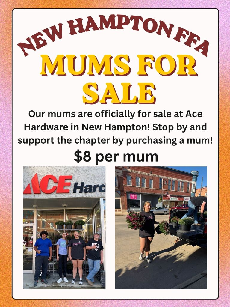 FFA Mums for sale.